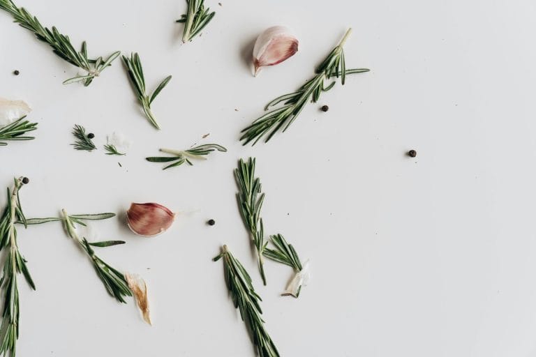 Les meilleures méthodes pour conserver du thym frais et préserver sa saveur